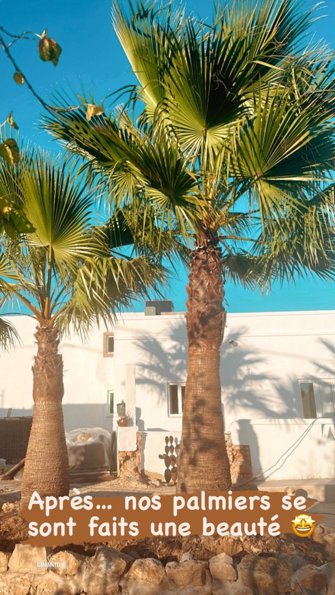 La Quinta Da Liberdade - Ferme De Charme En Algarve Villa Pechão Eksteriør bilde