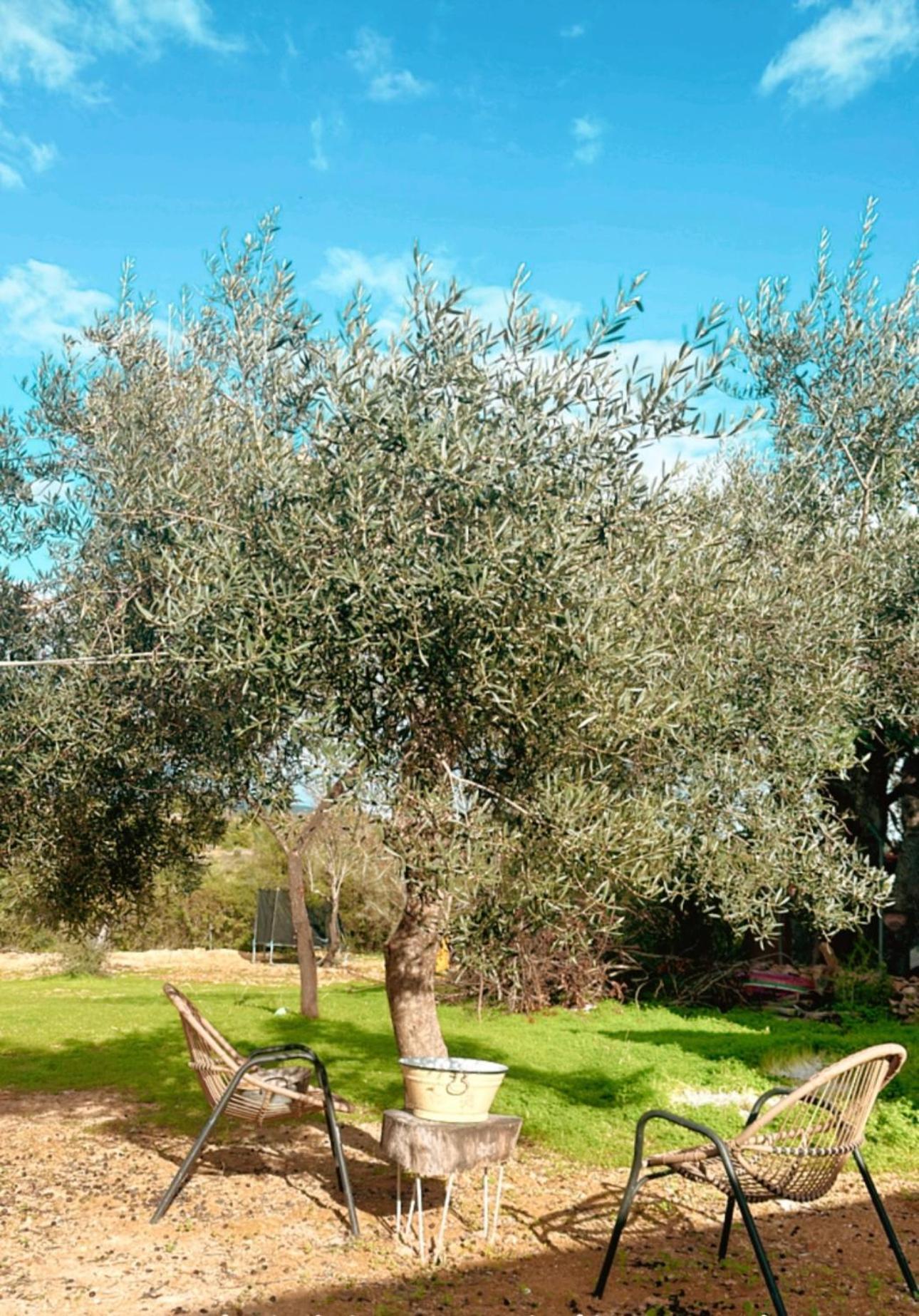La Quinta Da Liberdade - Ferme De Charme En Algarve Villa Pechão Eksteriør bilde