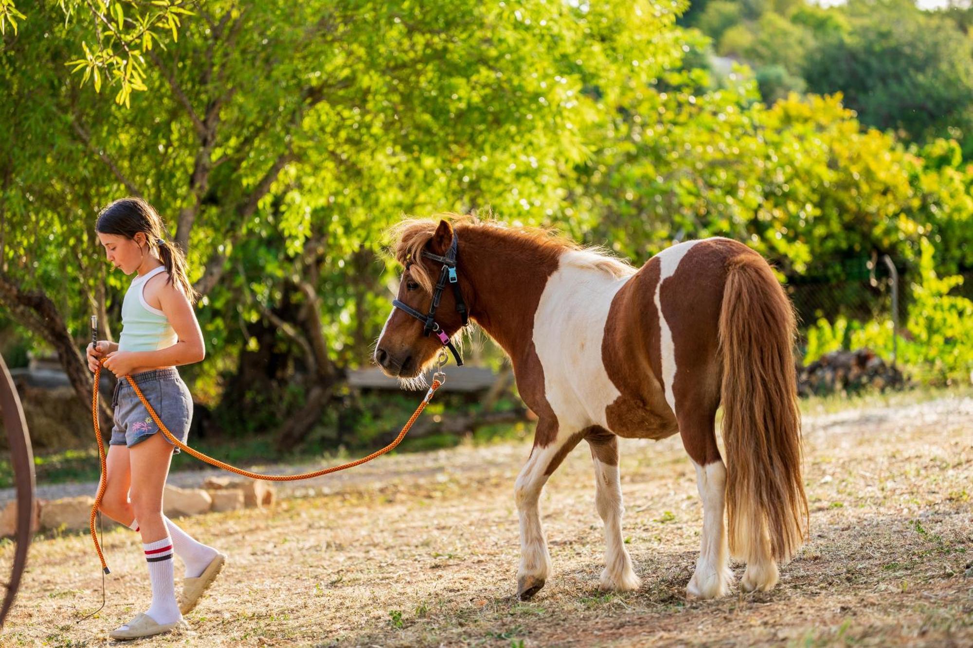 La Quinta Da Liberdade - Ferme De Charme En Algarve Villa Pechão Eksteriør bilde